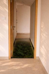 an empty room with a glass aquarium in the floor at Prana Ubud in Tegalalang