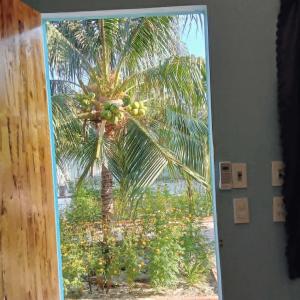 a palm tree is seen through a window at BONNIE HOMESTAY Mui Ne in Mui Ne