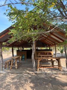 a picnic shelter with two benches and a tree at Wana beach camp in Raddela