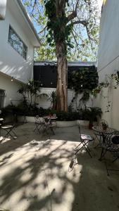 a patio with chairs and a tree in front of a building at Casa Esmeralda Boutique Hotel in San José