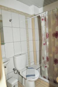 a bathroom with a toilet and a shower curtain at Mykali Hotel in Pythagoreio