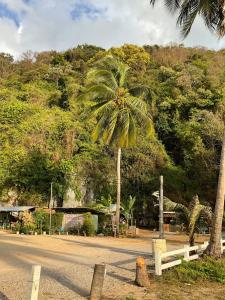 a palm tree on the side of a road at Khwaeng Phao Beech Poolvilla in Ban Thung Khanan