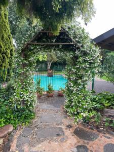 a pergola with plants growing around a swimming pool at Dias Guest House in Bloemfontein