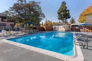 a swimming pool with chairs and umbrellas at Comfort Inn Bishop in Bishop