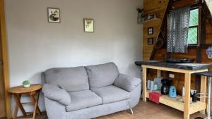 a living room with a gray couch and a wooden table at Glamping MORET Tiny House M1 in Los Lirios +17 photos