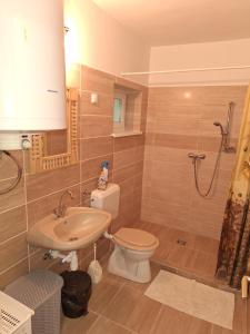 a bathroom with a toilet and a sink and a shower at Aranymoha Vendégház in Szőce +11 photos