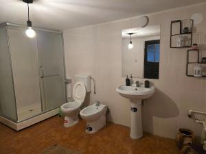 a bathroom with a toilet and a sink and a shower at Casa tradițională Eridav in Arcani +29 photos