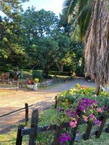 a garden with flowers and a wooden fence at Green Whisper BnB in Umtali