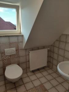 a bathroom with a toilet and a sink at Apartment Robin in Karlovy Vary +14 photos