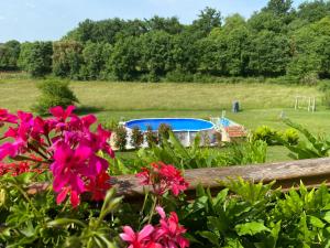 a garden with pink flowers and a pool at Les Jonquilles in Domme