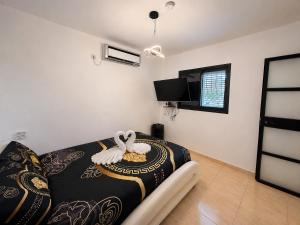 a living room with a couch and a bed at Olympus B&B in Mitzpe Ramon