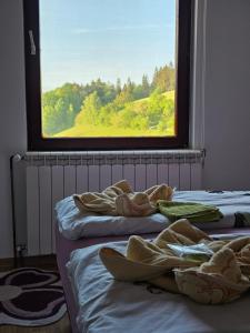 two beds in a room with a large window at Apartmani NINA Zlatar in Nova Varoš