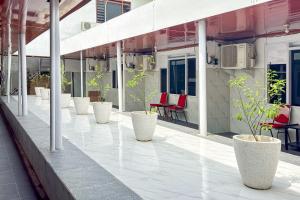 a row of potted plants on the side of a building at RedDoorz at Hotel AVA Malioboro in Jetis