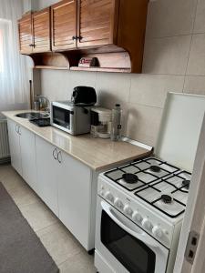 a kitchen with a stove and a microwave at Margo Apartament cu 2 camere in Târgu Jiu