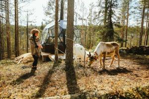 a woman standing next to two cows in the woods at Jänkä Resort in Äkäslompolo