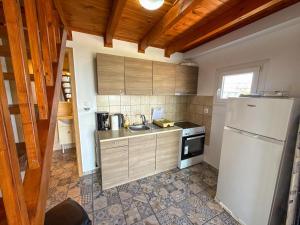 a kitchen with a white refrigerator and a sink at Seafront blue in Áyios Spirídhon