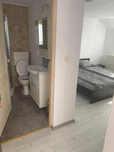 a bathroom with a toilet and a sink and a bed at Casa Cosmina in Sînnicolau Mare +11 photos