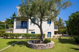 a tree in front of a house at Yasmin House in Perdika