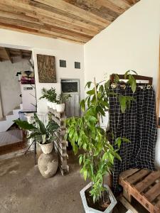 a room with potted plants and a couch at ak Hostel selayar in Benteng +11 photos