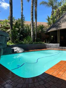 ein Swimmingpool in einem Garten mit Palmen in der Unterkunft Koi liv-Inn Bedfordview ll Modern Guest House Near OR Tambo in Bedfordview