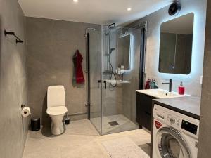 a bathroom with a shower and a toilet and a sink at Cozy Modern Basement in Rättvik in Rättvik