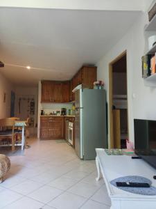 a kitchen with a green refrigerator and wooden cabinets at Riverside apartment in Sospel +17 photos