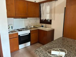 a small kitchen with wooden cabinets and a stove top oven at Vila Theodora in Myrties
