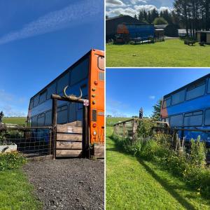 an orange and blue bus parked in a field at The Bru Bus in Maybole