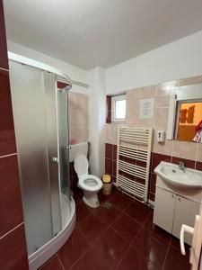 a bathroom with a shower and a toilet and a sink at Poteca Ursului in Arefu +37 photos