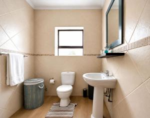 a bathroom with a toilet and a sink and a mirror at At the Indi in Struisbaai