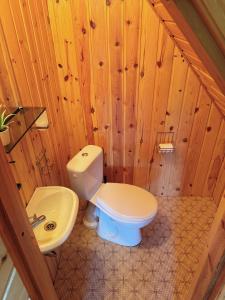 a bathroom with a toilet and a sink at Diby Kämping saunamaja numbritoad in Diibi