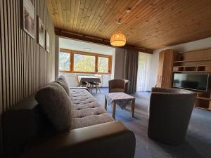 a living room with a couch and chairs and a television at WOLF RETREAT Apartments im Lechtal davor Appartementhaus Michaela in Bach