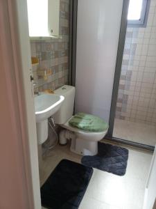 a bathroom with a toilet and a sink and a shower at Mon cœur Gris-Or in Rejiche
