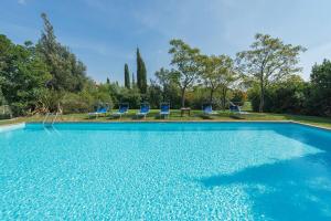 a swimming pool with blue chairs in a yard at Agriturismo Bandinelli in Castiglione della Pescaia