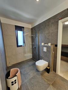 a bathroom with a toilet and a shower at Vila Dora with Private Pool in Radetići +23 photos
