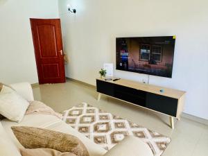a living room with a couch and a flat screen tv at Revo Apartments in Lusaka
