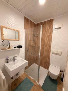 a bathroom with a sink and a shower and a toilet at Gasthof Fersterer in Lamprechtshausen +15 photos