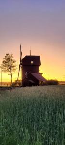 a barn in the middle of a field with a tree at WIATRAK in Brenno