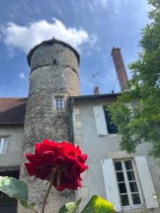 a red rose in front of a building with a tower at Chambre d'hôtes - demeure historique in Chantenay-Saint-Imbert
