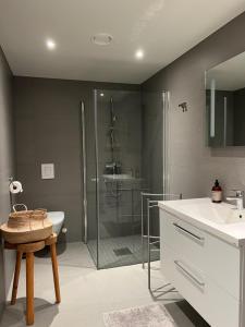 a bathroom with a shower and a toilet and a sink at Oppheimhamna 10c in Bø