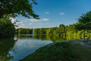 a view of a lake with a fountain in the distance at Hotel Haus Schwan Köln in Cologne