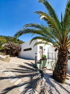 a palm tree in front of a white building at Natur Hotel Tanca in Cardedu
