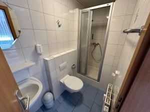 a bathroom with a toilet and a sink and a shower at Hotel Gasthaus Stern in Nusplingen +28 photos