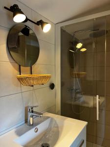 a bathroom with a sink and a mirror and a shower at La Petite Cabane in Saint-Affrique