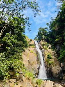 a waterfall in the middle of a forest at Mandaram Nuwara Sunset Villa in Nuwara Eliya