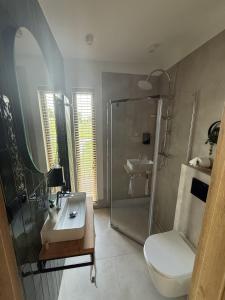 a bathroom with a shower and a sink and a toilet at Winnica Osada Moszczonne in Moszczonne +41 photos