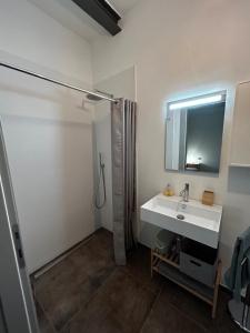 a bathroom with a sink and a shower at Emilia94 in Anzola dell'Emilia +33 photos