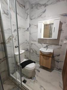 a bathroom with a toilet and a sink at Episkopos Escape in Nikiana +15 photos
