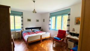 a bedroom with a bed and a desk and a chair at Park Apartman in Sály
