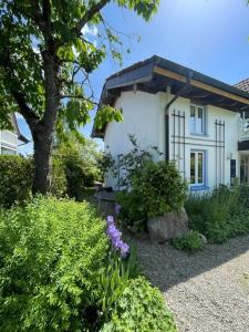 a white house with a tree and some bushes at Ferienwohnung Chiemgau in Eggstätt